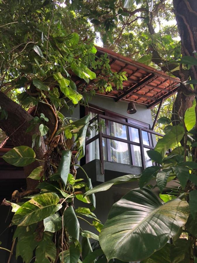 Kuara Pipa Hotel Praia de Pipa Buitenkant foto